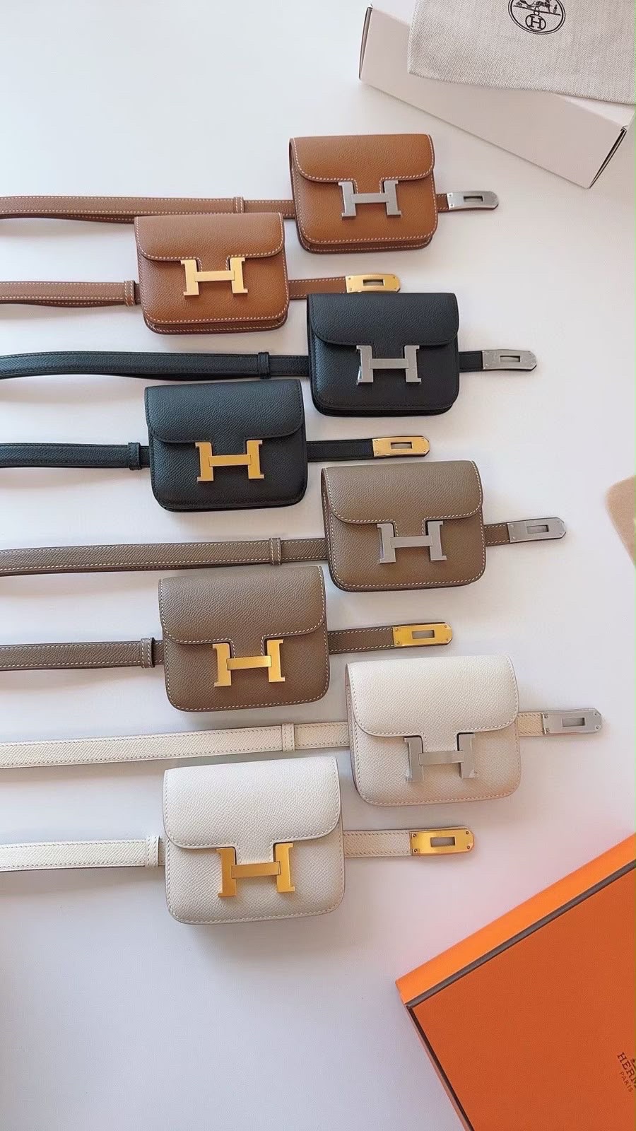 Ladies Belt - Image 17