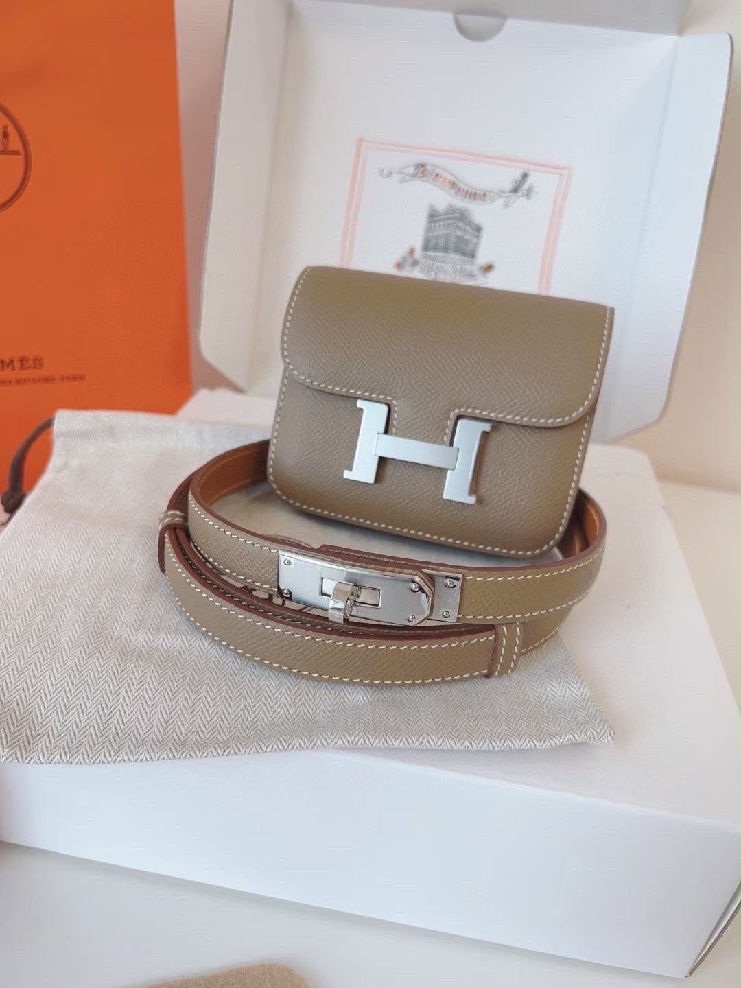 Ladies Belt - Image 8