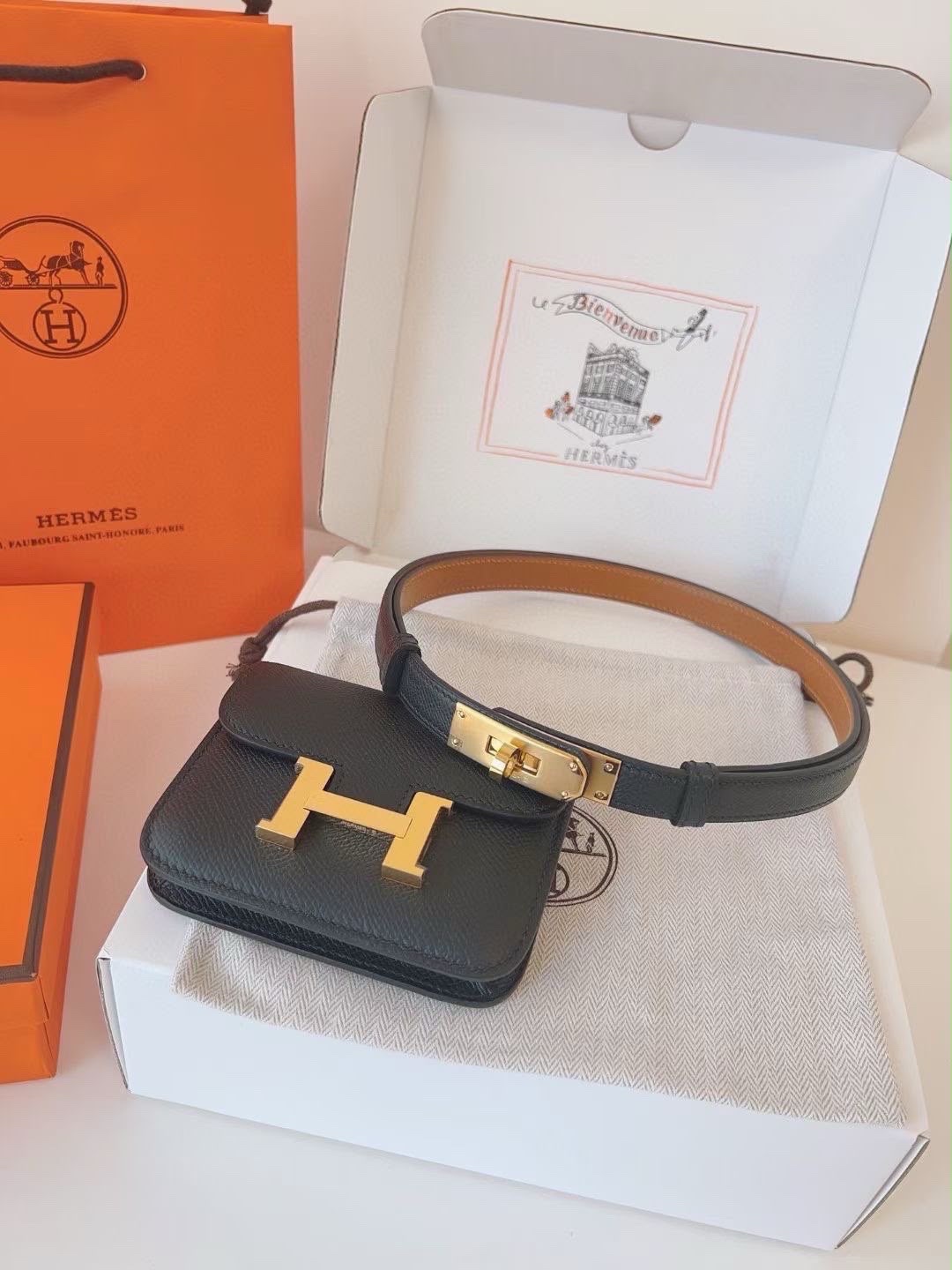 Ladies Belt - Image 10