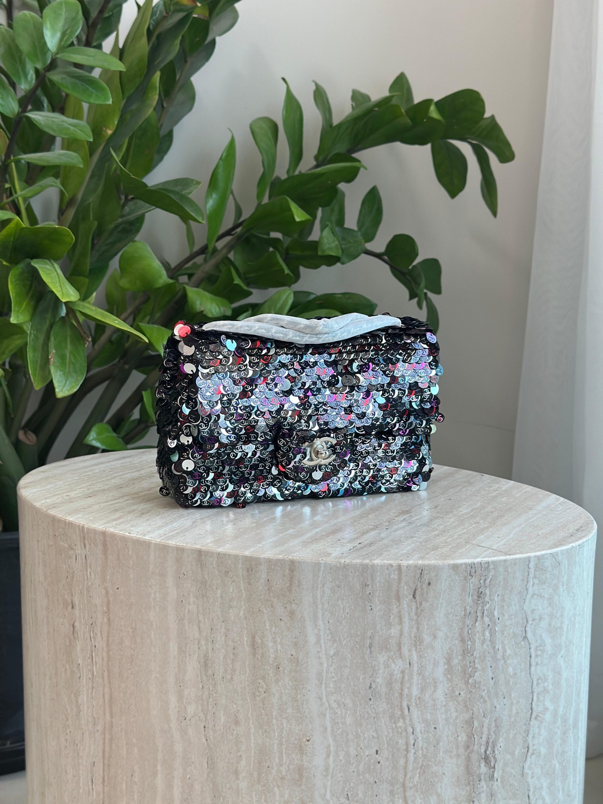 Chanel Ladies Bag - Image 4