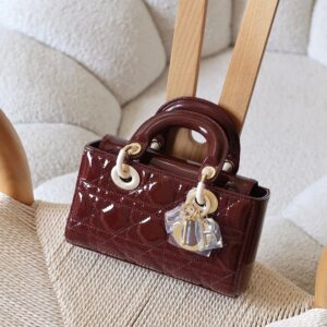 Dior Lady D-Joy Bag