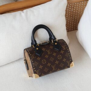 Louis Vuitton Speedy Trunk 20