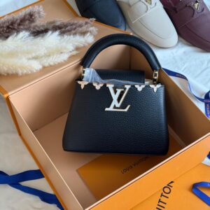 Louis Vuitton Capucines Bag