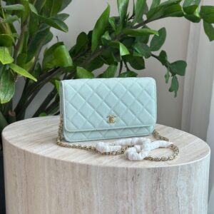 Chanel Wallet On Chain