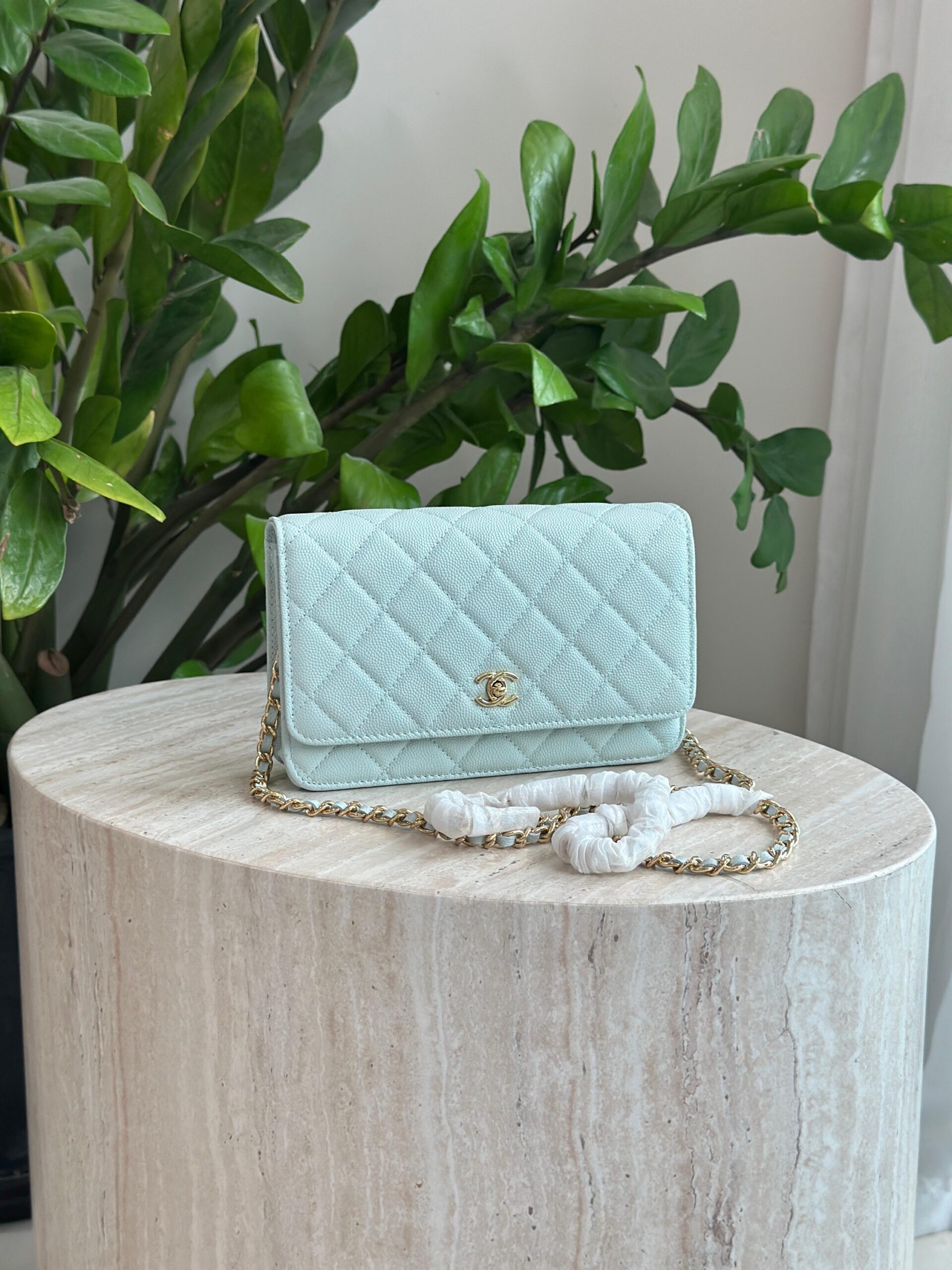 Chanel Wallet On Chain