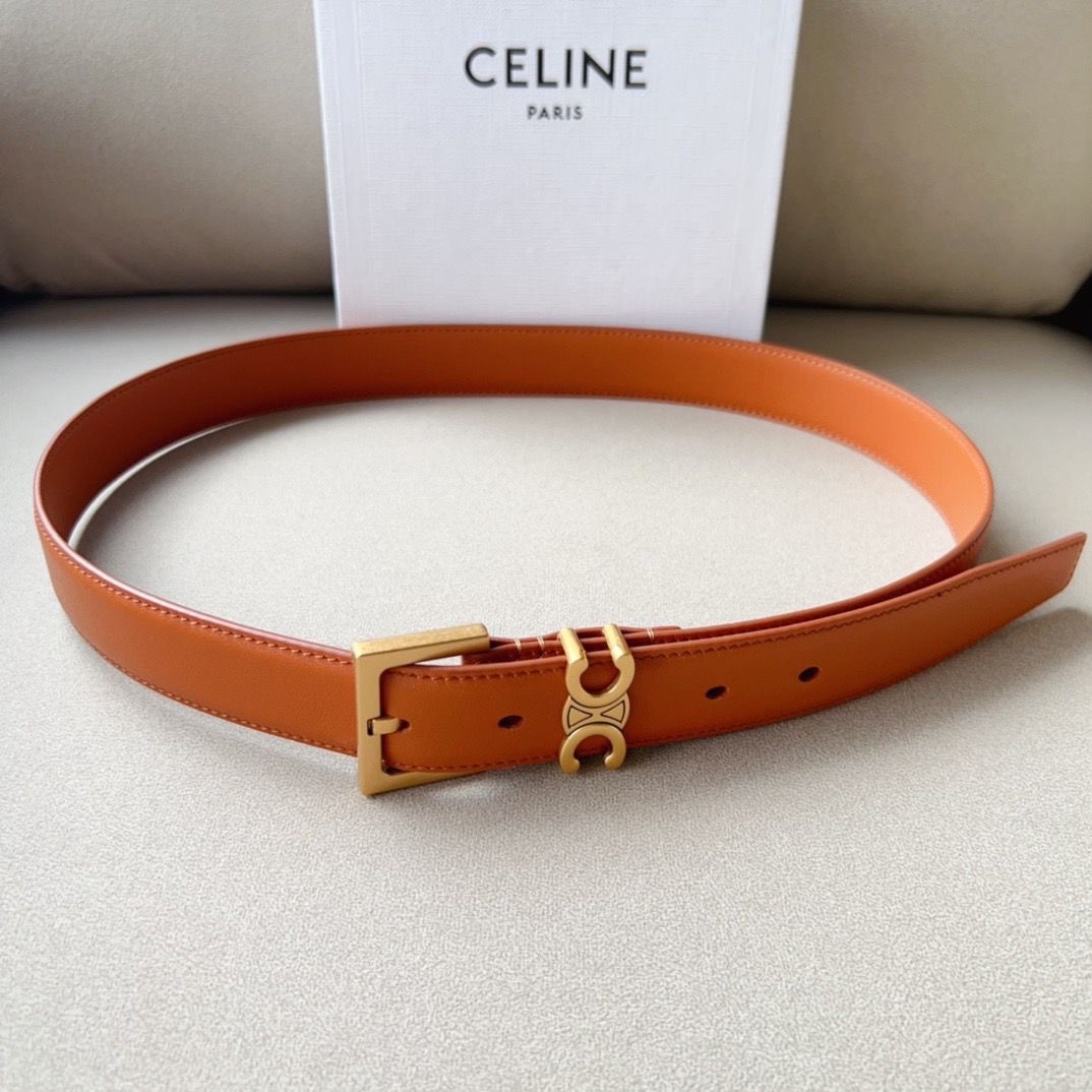 Celine Triomphe Belt Silver-Tone Buckle - Image 7