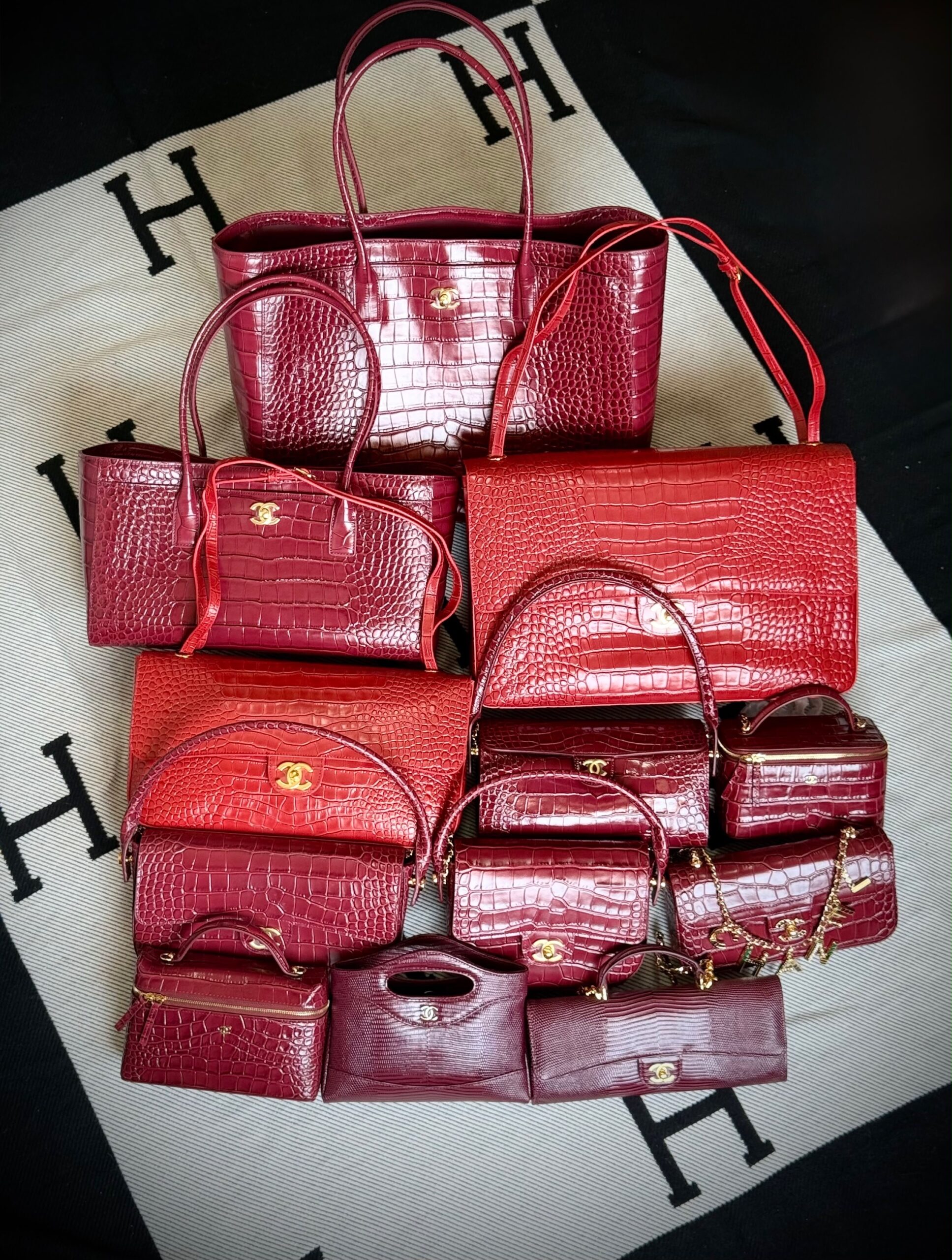 Chanel Croc-Embossed Calfskin Bags Collection - Image 6