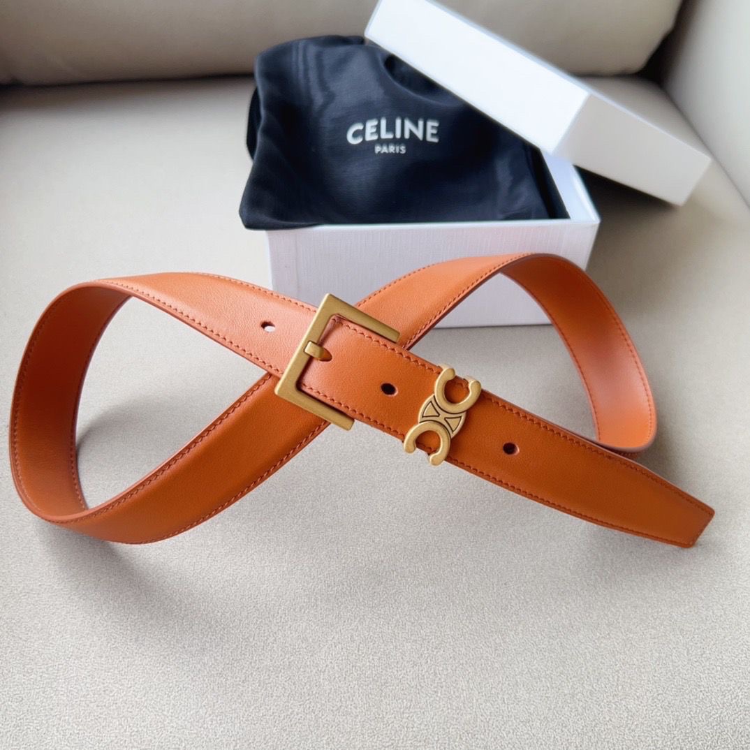 Celine Triomphe Belt Silver-Tone Buckle - Image 8