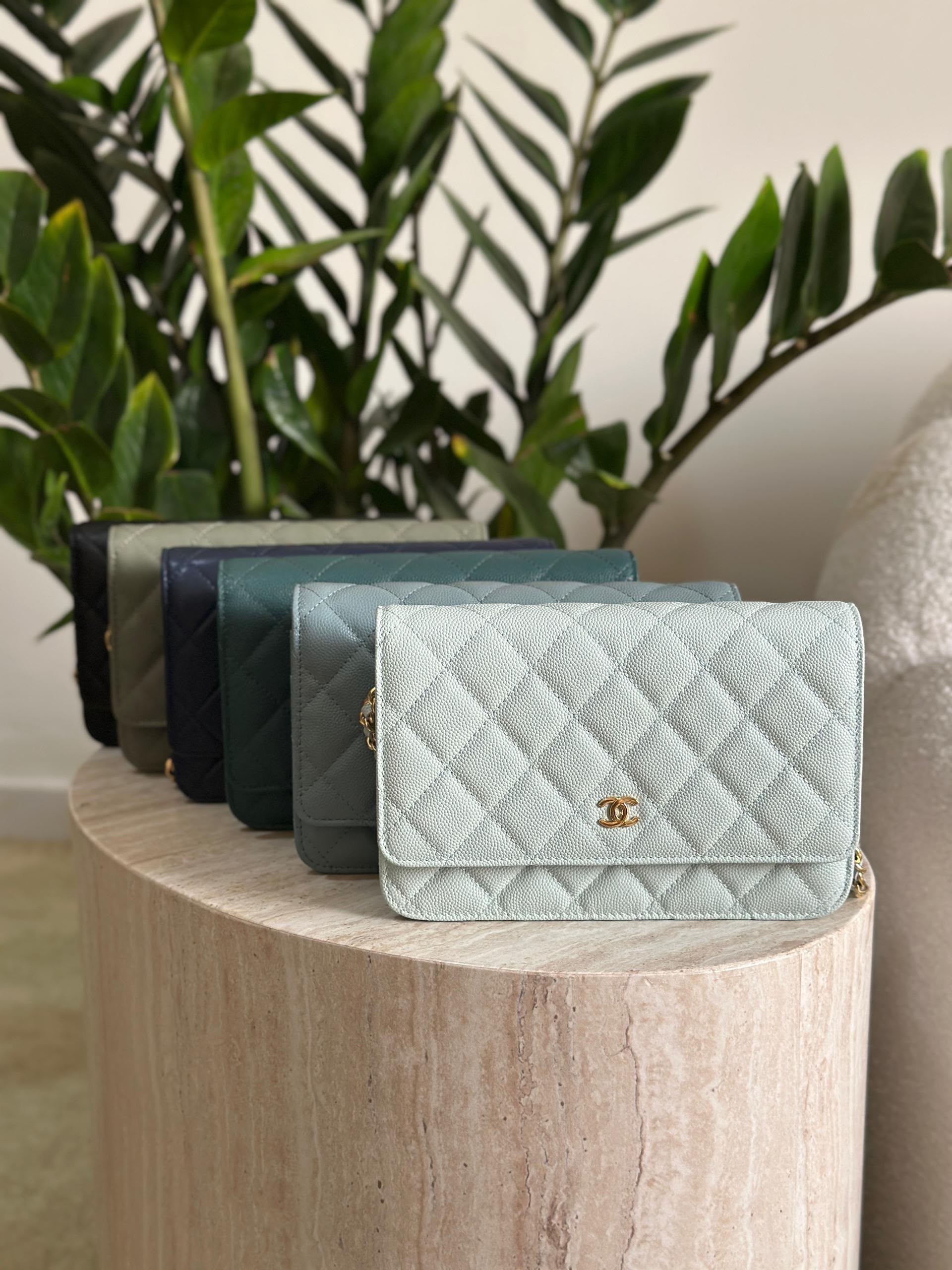 Chanel Iridescent Caviar Wallet on Chain WOC Bag - Image 10