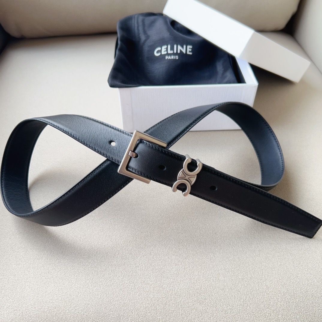 Celine Triomphe Belt Silver-Tone Buckle - Image 2
