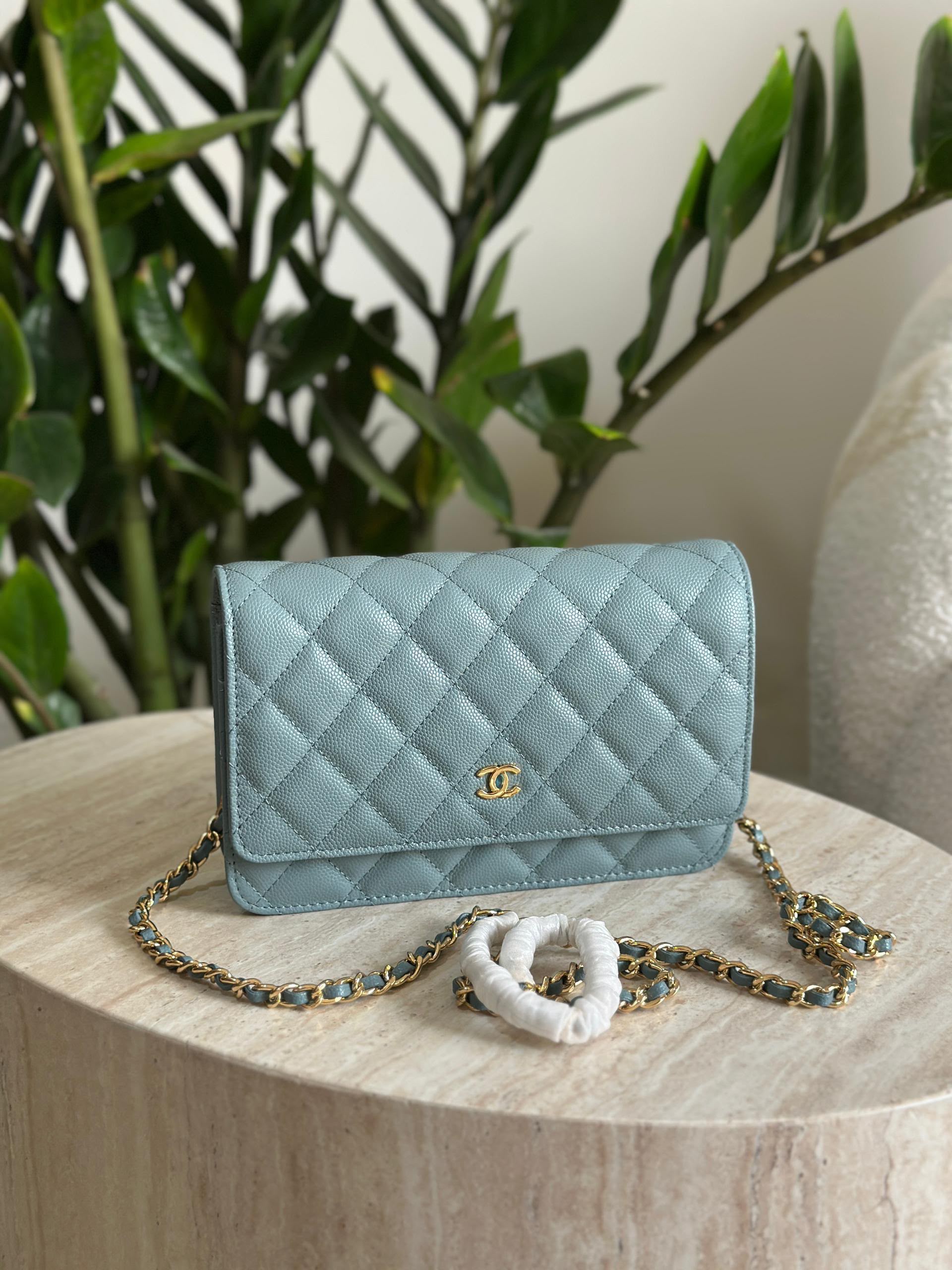 Chanel Iridescent Caviar Wallet on Chain WOC Bag - Image 9
