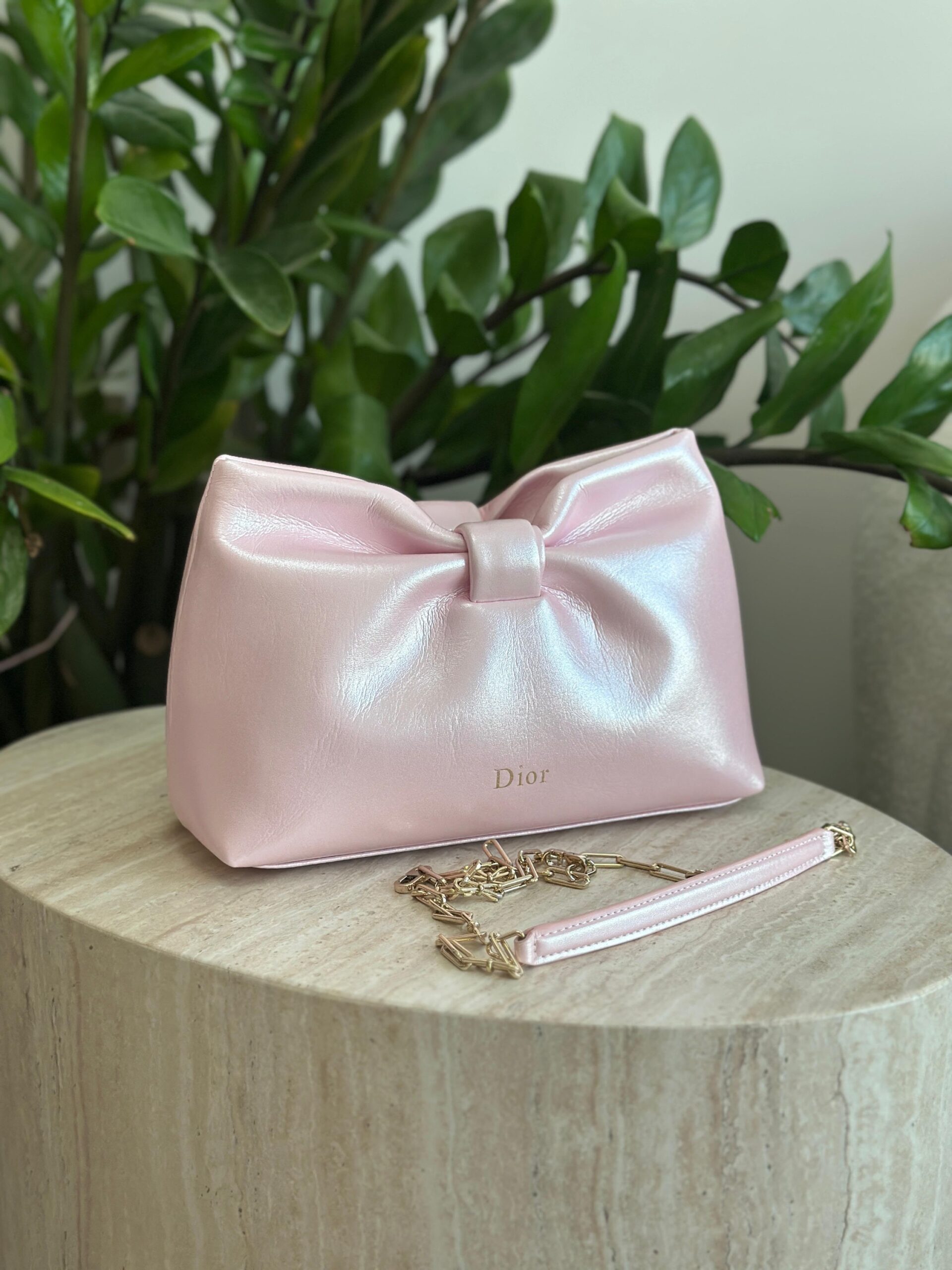 Dior Bow Bag