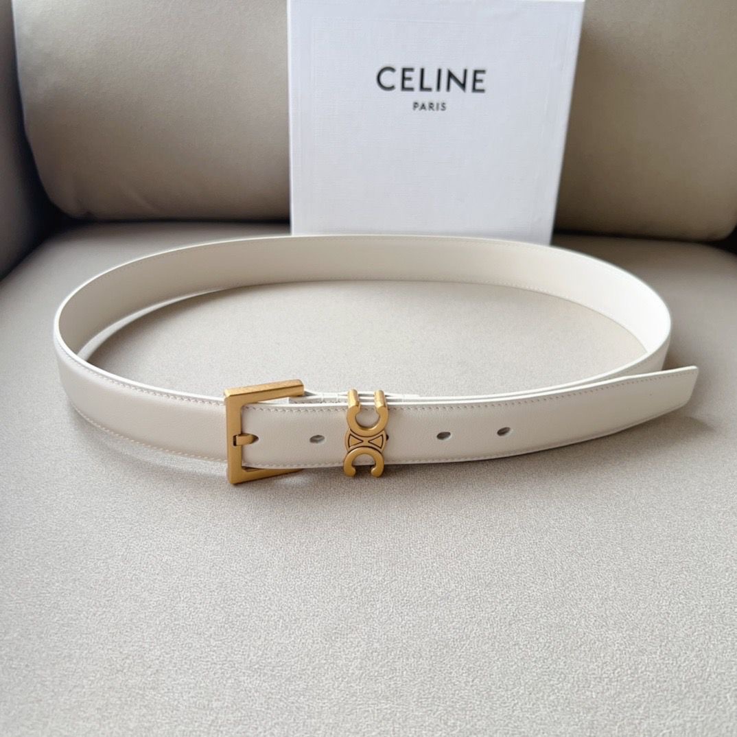 Celine Triomphe Belt Silver-Tone Buckle - Image 5