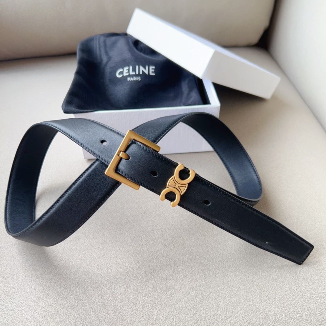 Celine Triomphe Belt Silver-Tone Buckle - Image 4