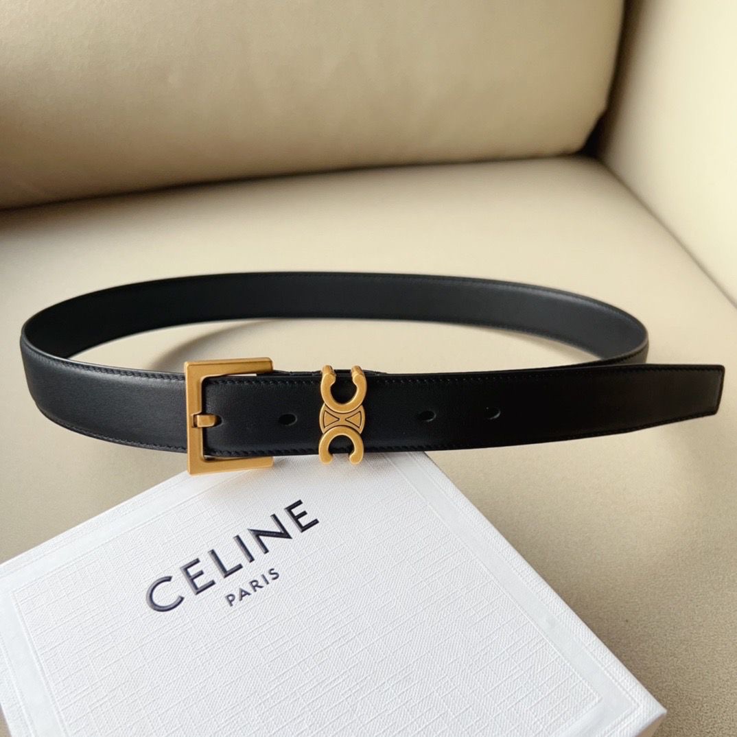 Celine Triomphe Belt Silver-Tone Buckle - Image 3
