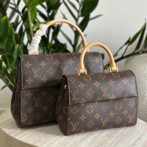 Louis Vuitton Cluny Mini Handbag
