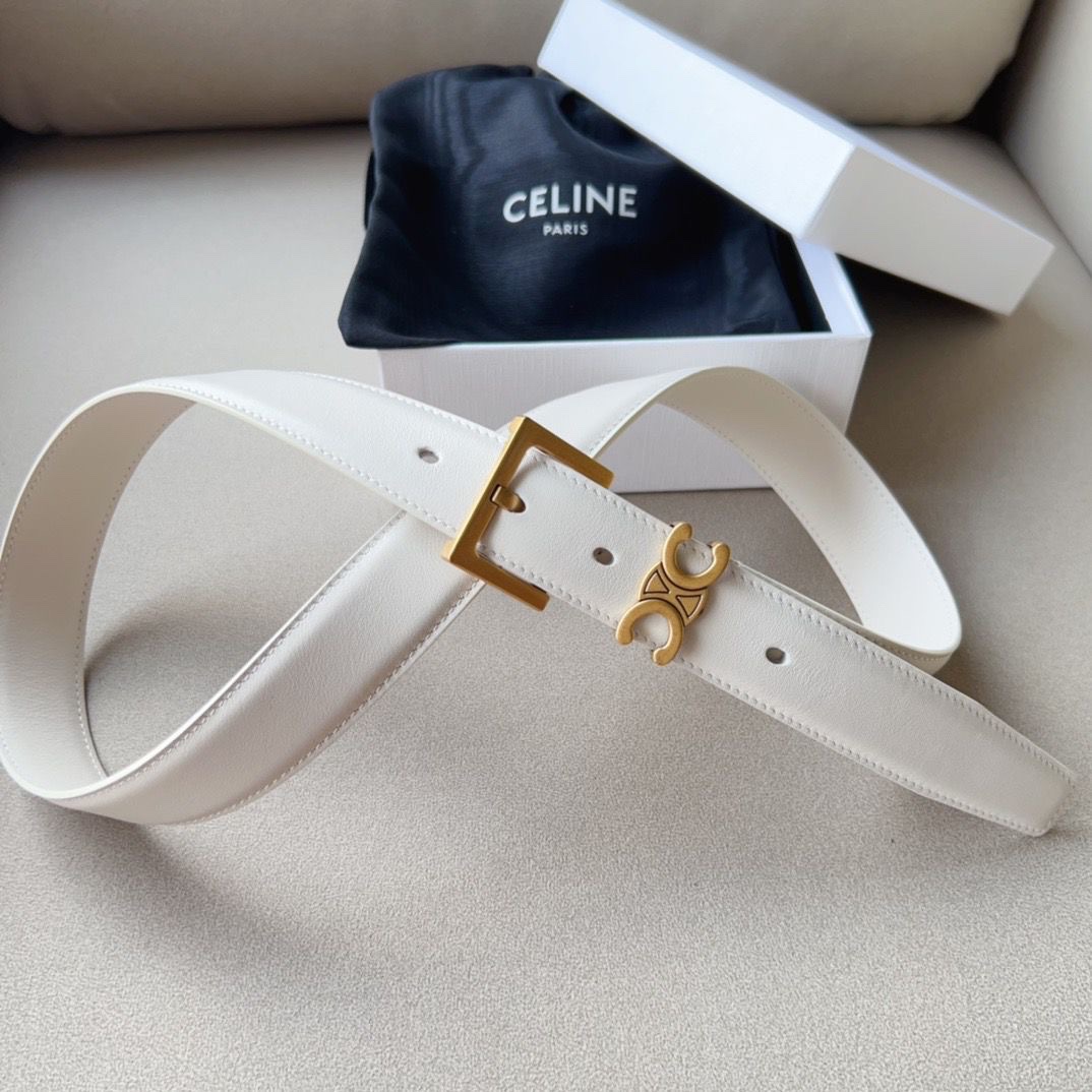 Celine Triomphe Belt Silver-Tone Buckle - Image 6