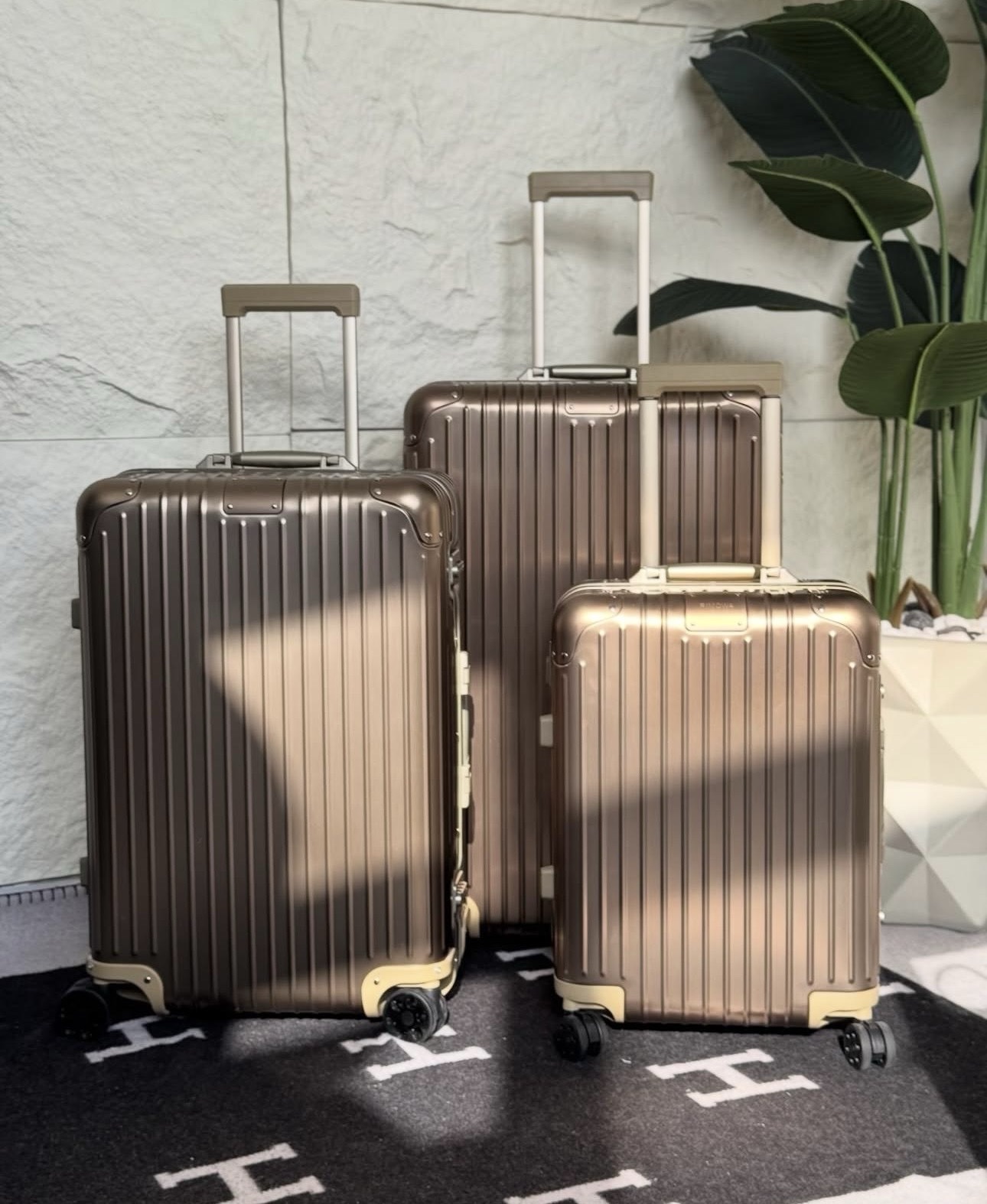 Rimowa Suitcase Set - Image 20