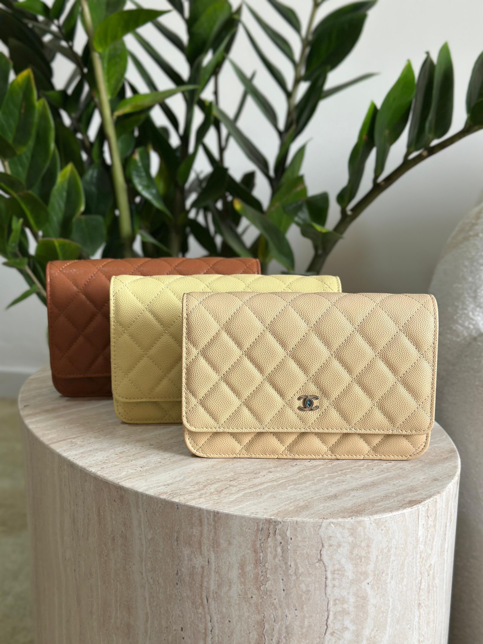 Chanel Iridescent Caviar Wallet on Chain WOC Bag - Image 3