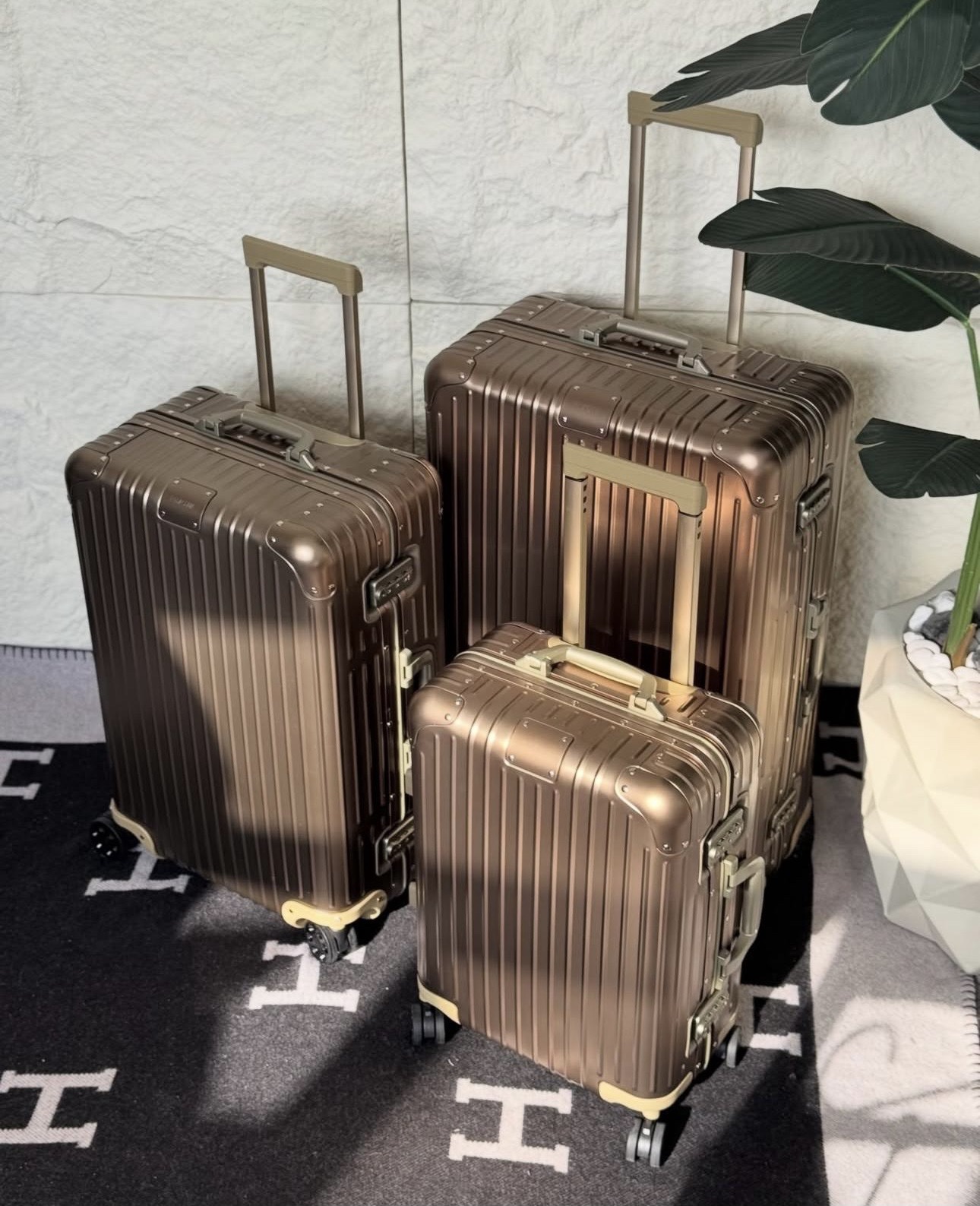 Rimowa Suitcase Set - Image 21