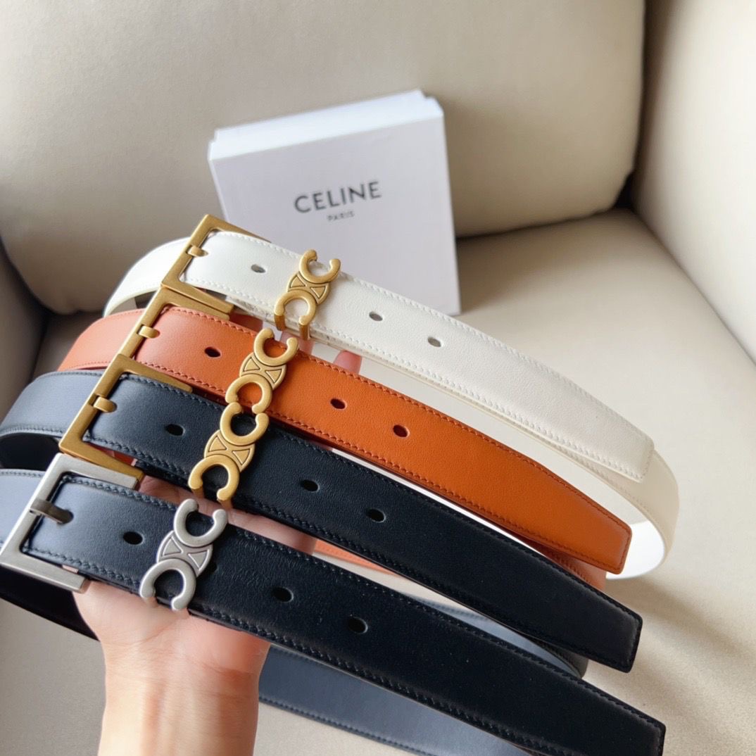 Celine Triomphe Belt Silver-Tone Buckle - Image 9