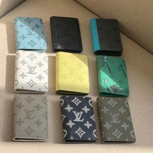 Louis Vuitton Pocket Organizer