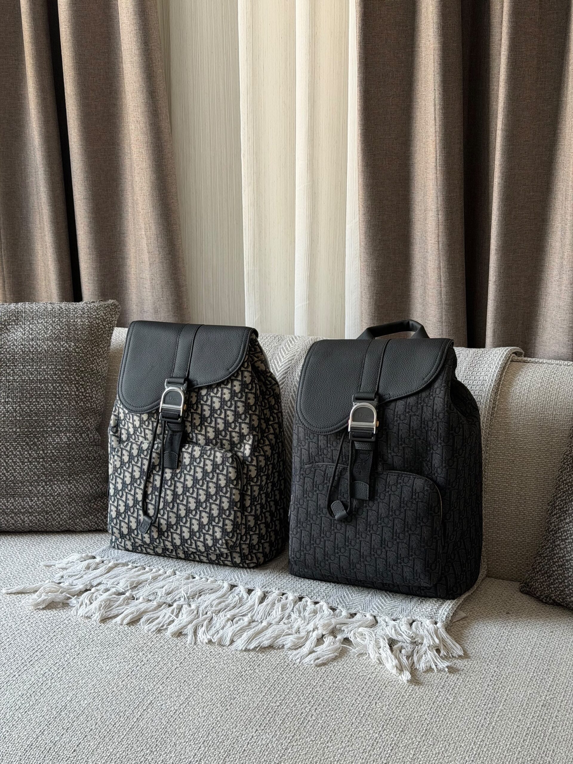 Dior Saddle Heritage Backpack