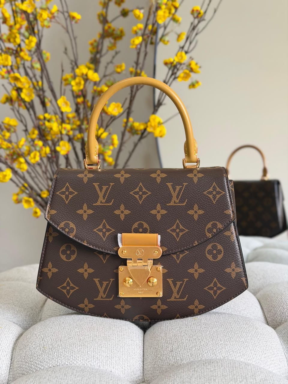 Louis Vuitton Tilsitt Bag