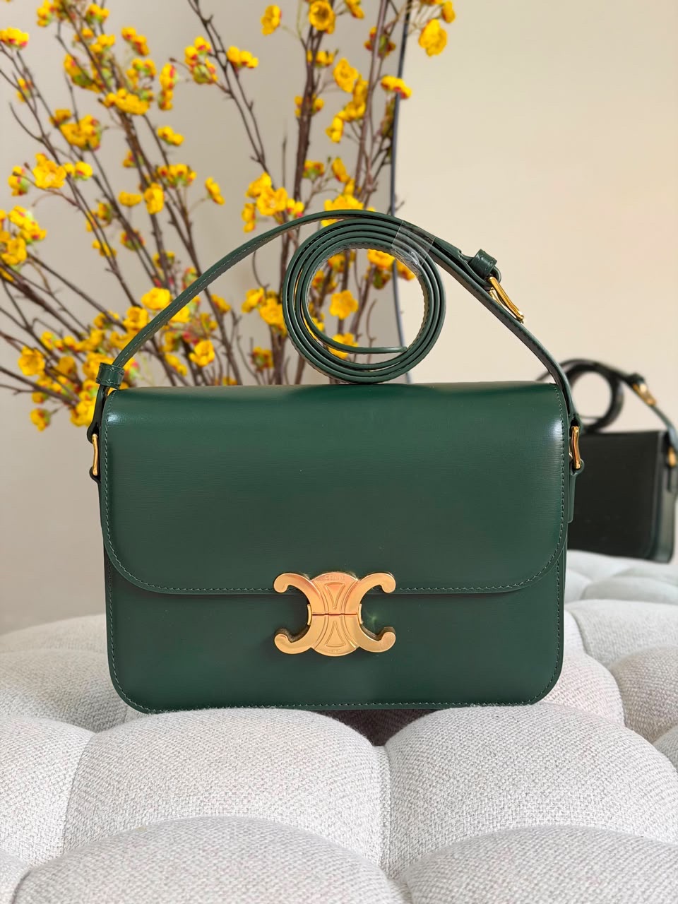 Celine Classique Triomphe Bag - Image 7