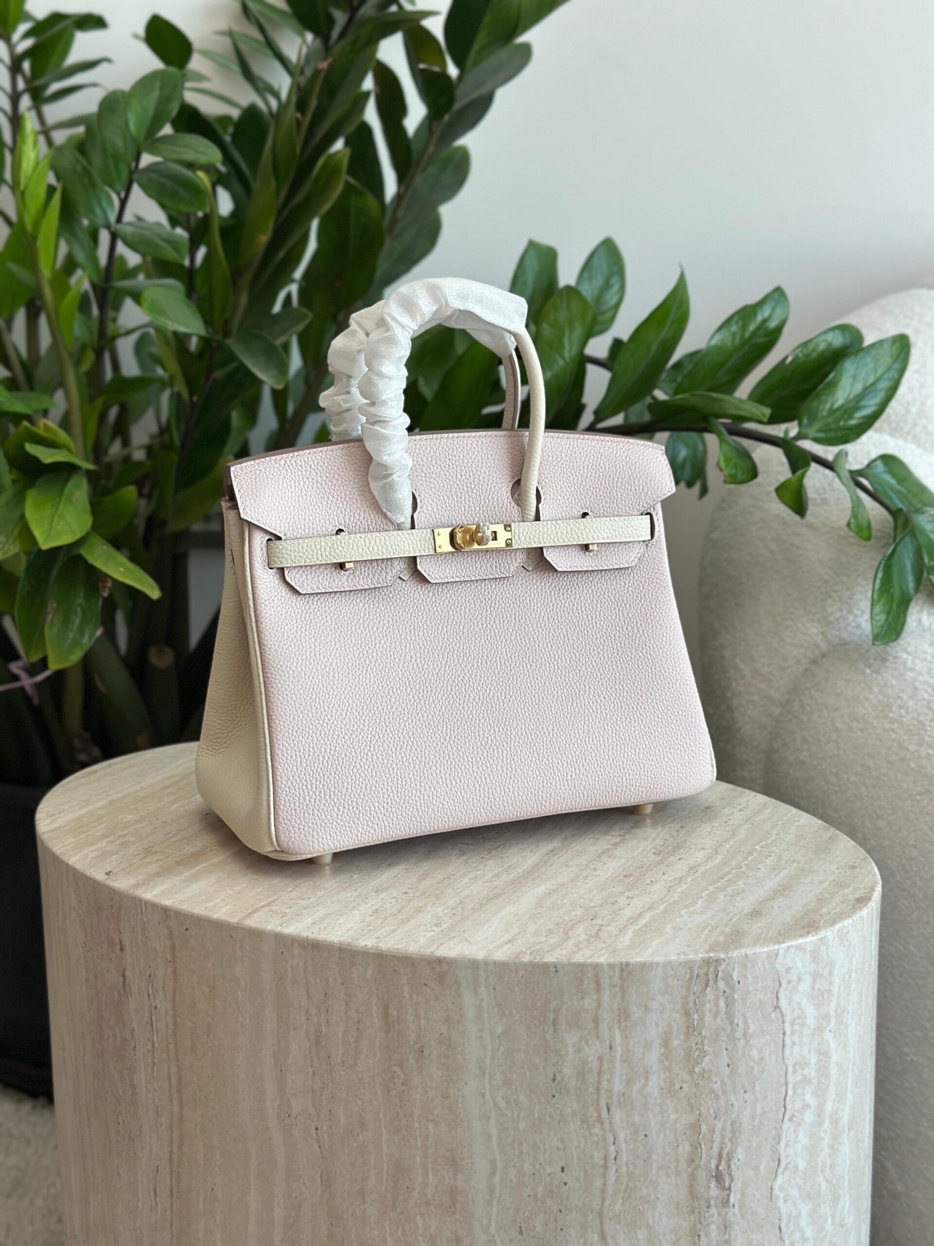 Hermès Birkin 25 Features A Two-Tone Design - Image 12