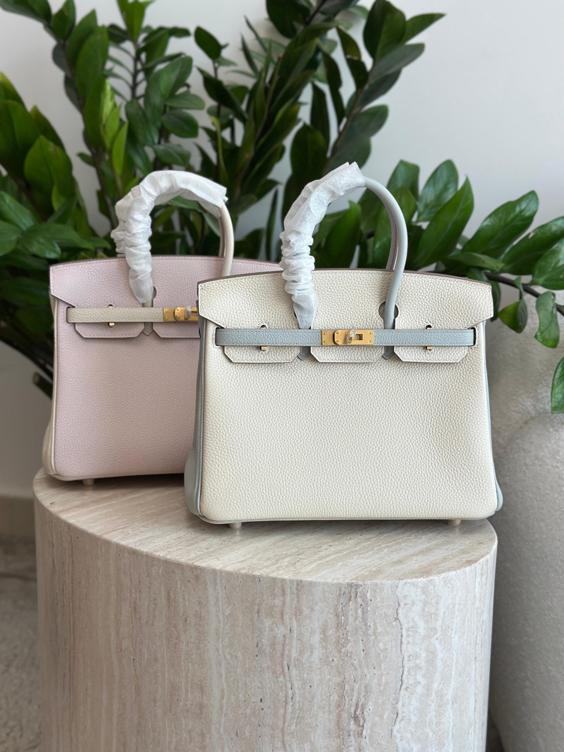 Hermès Birkin 25 Features A Two-Tone Design - Image 13