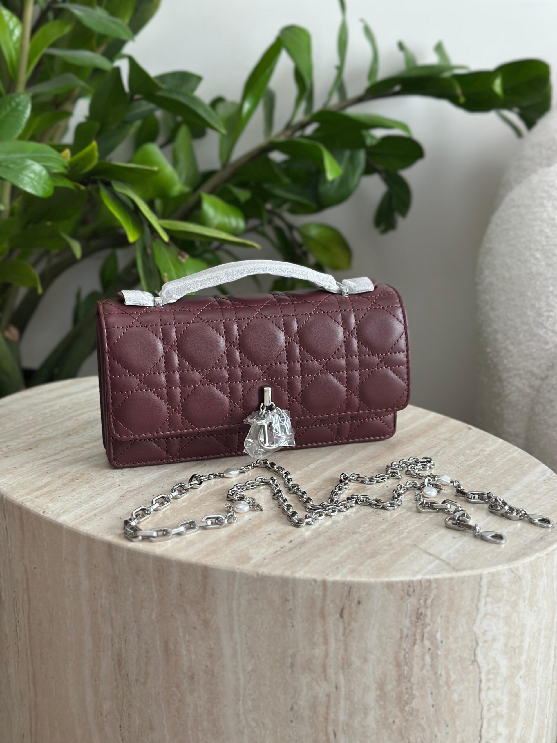 Dior Mini Bag - Image 9