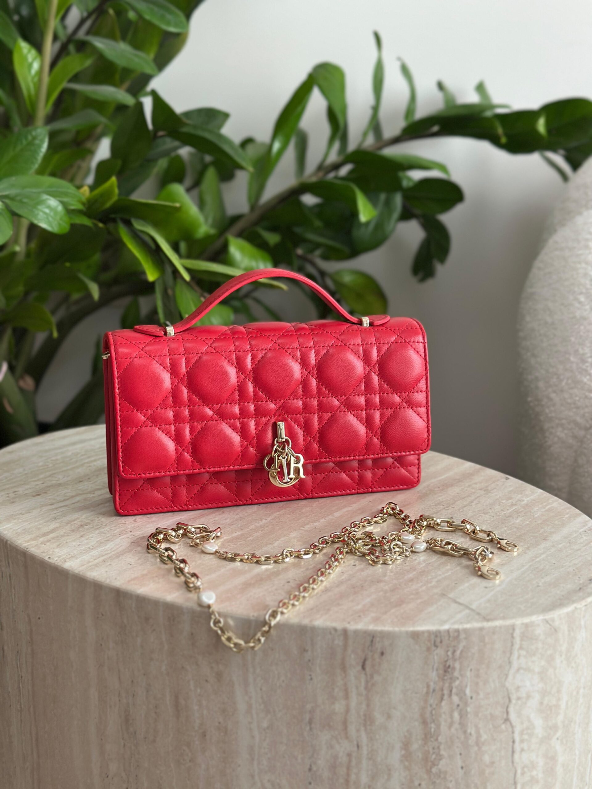 Dior Mini Bag - Image 8