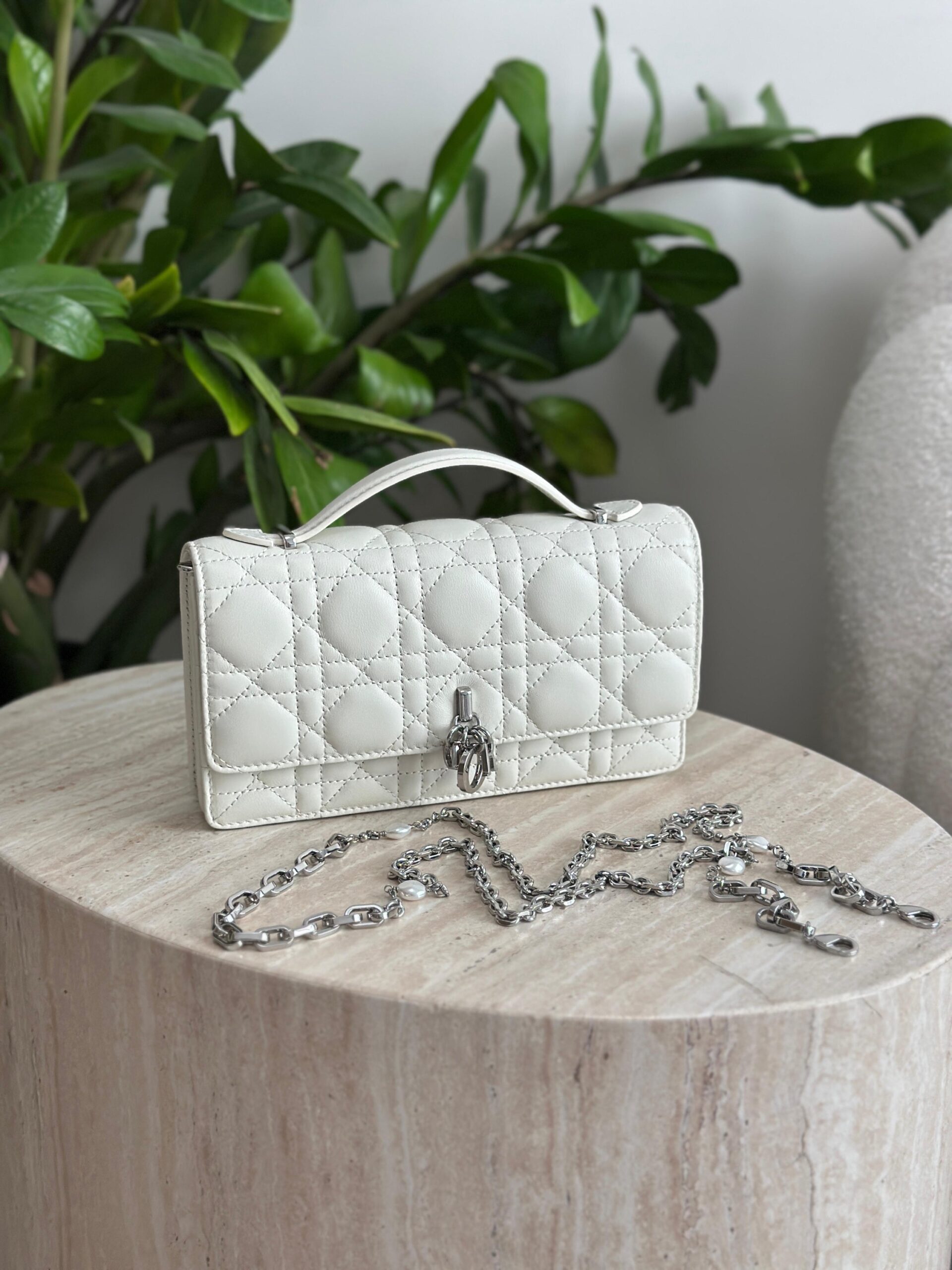 Dior Mini Bag - Image 13