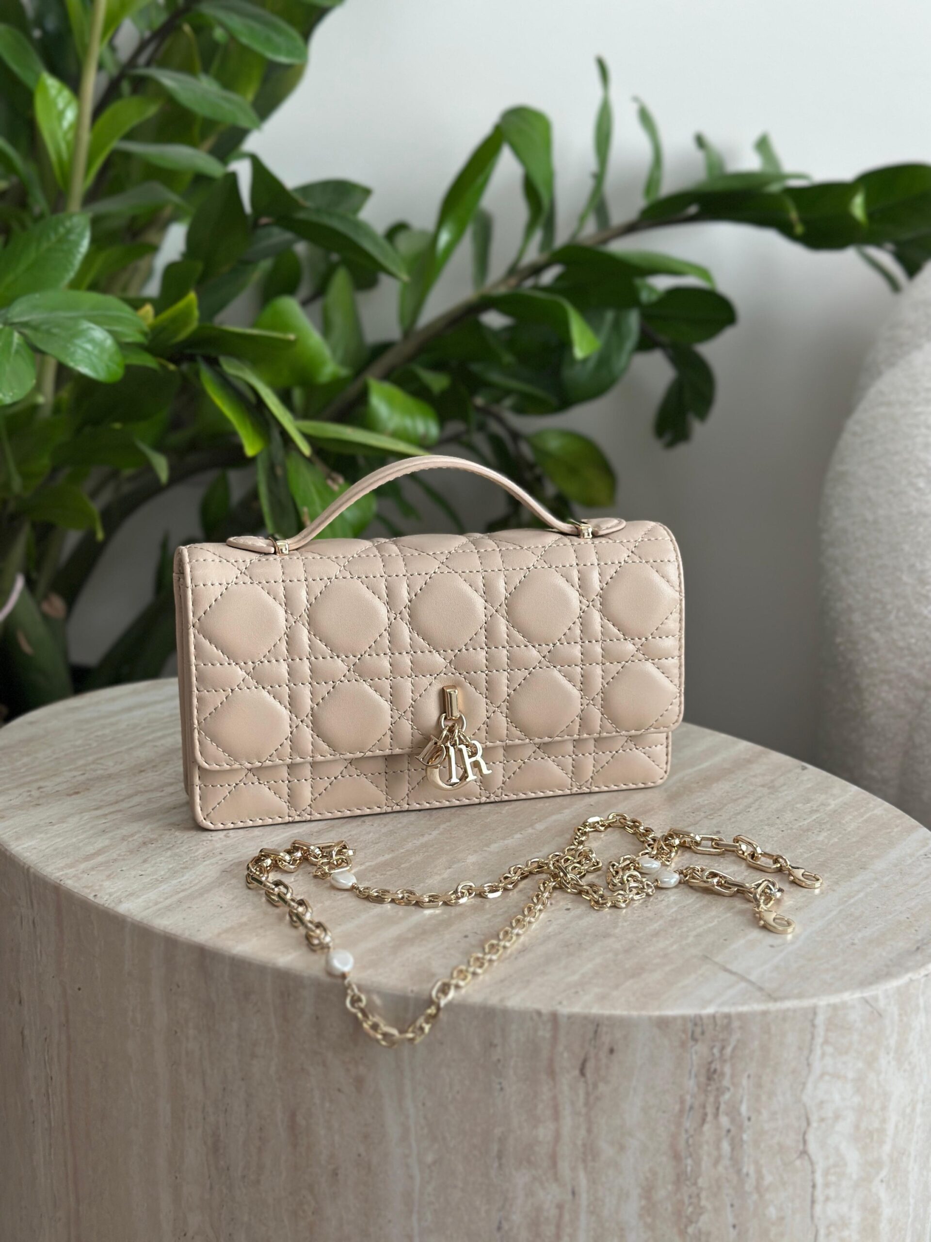 Dior Mini Bag - Image 10