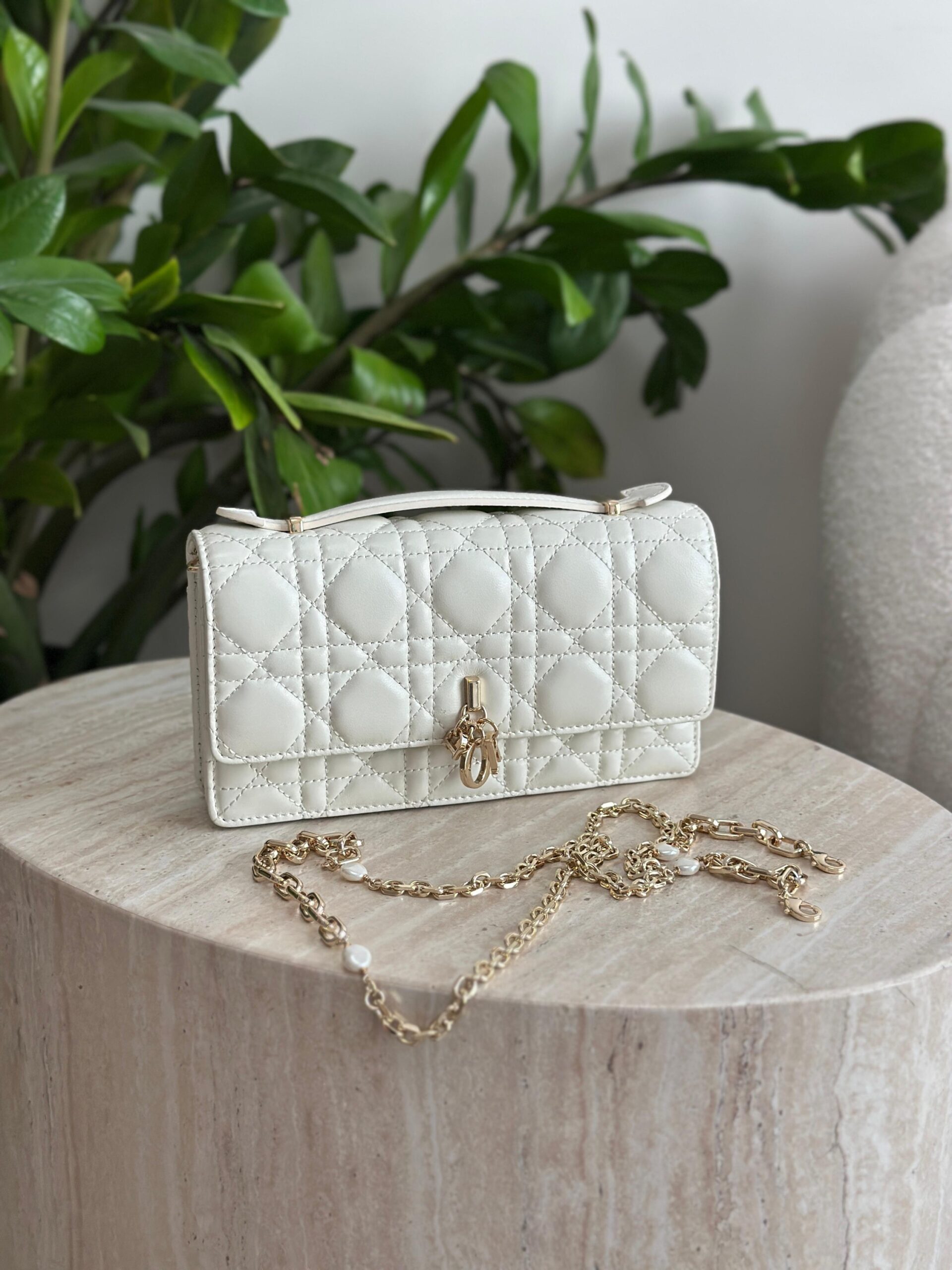 Dior Mini Bag - Image 7