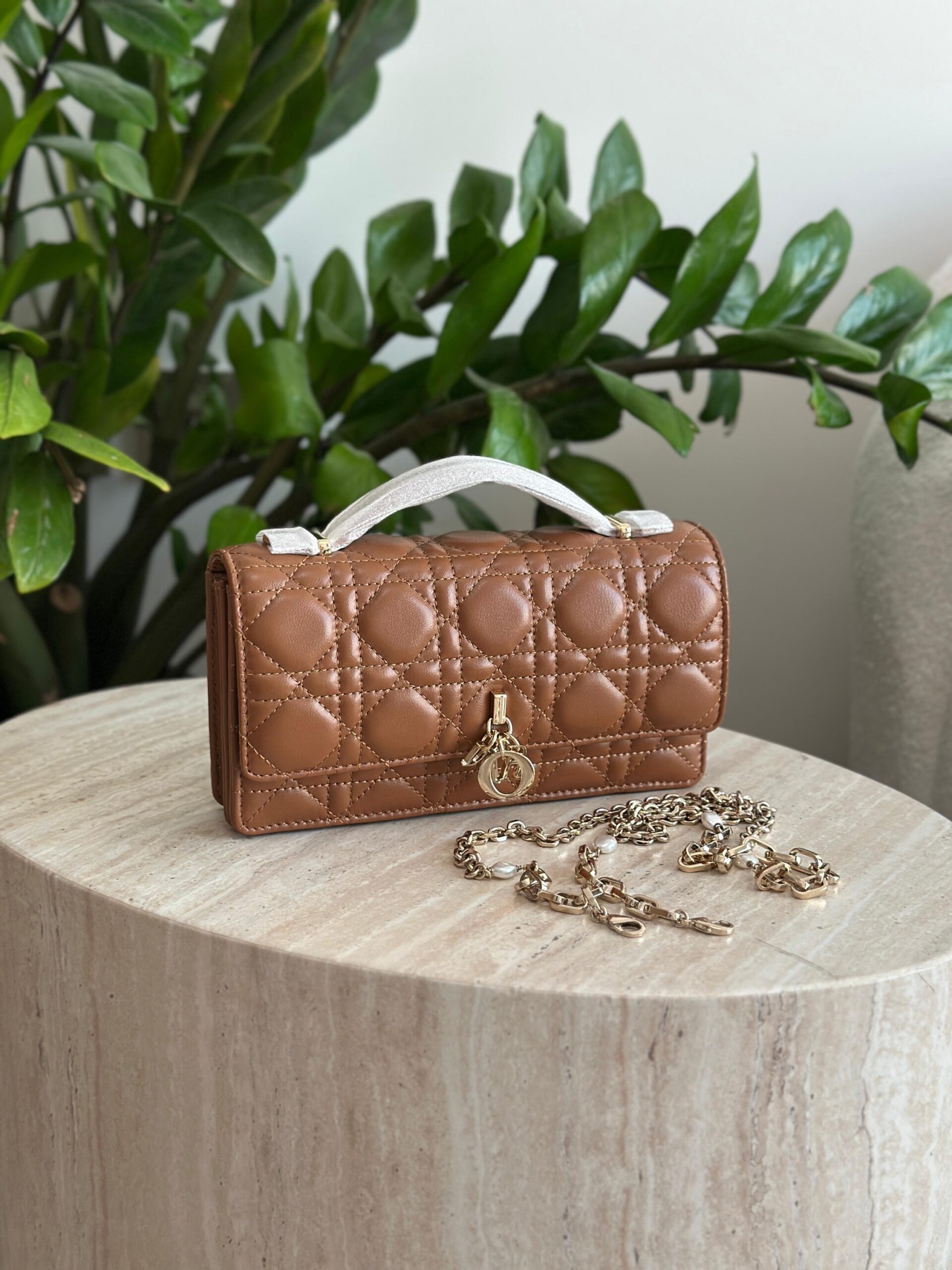 Dior Mini Bag - Image 18
