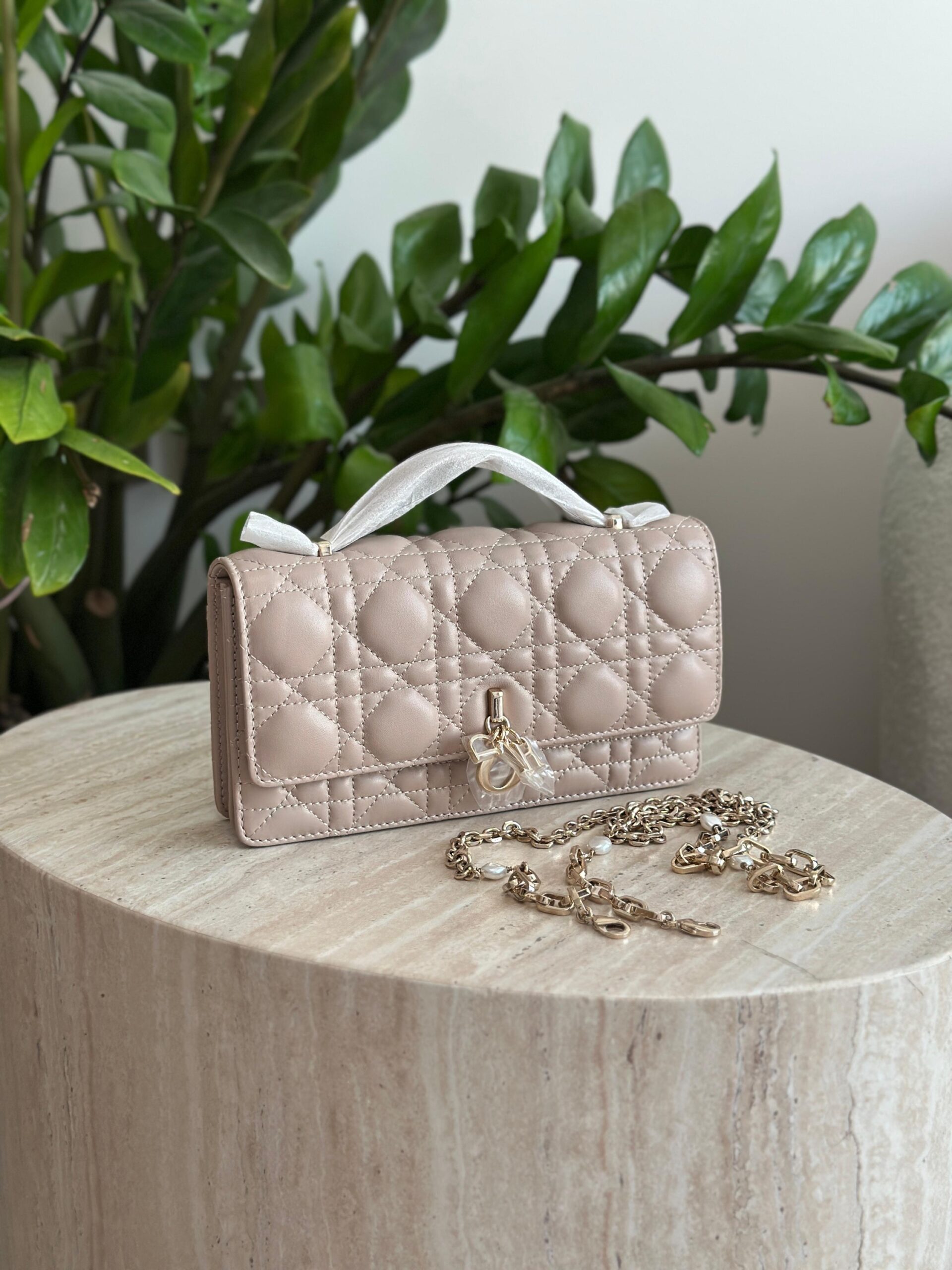 Dior Mini Bag - Image 6