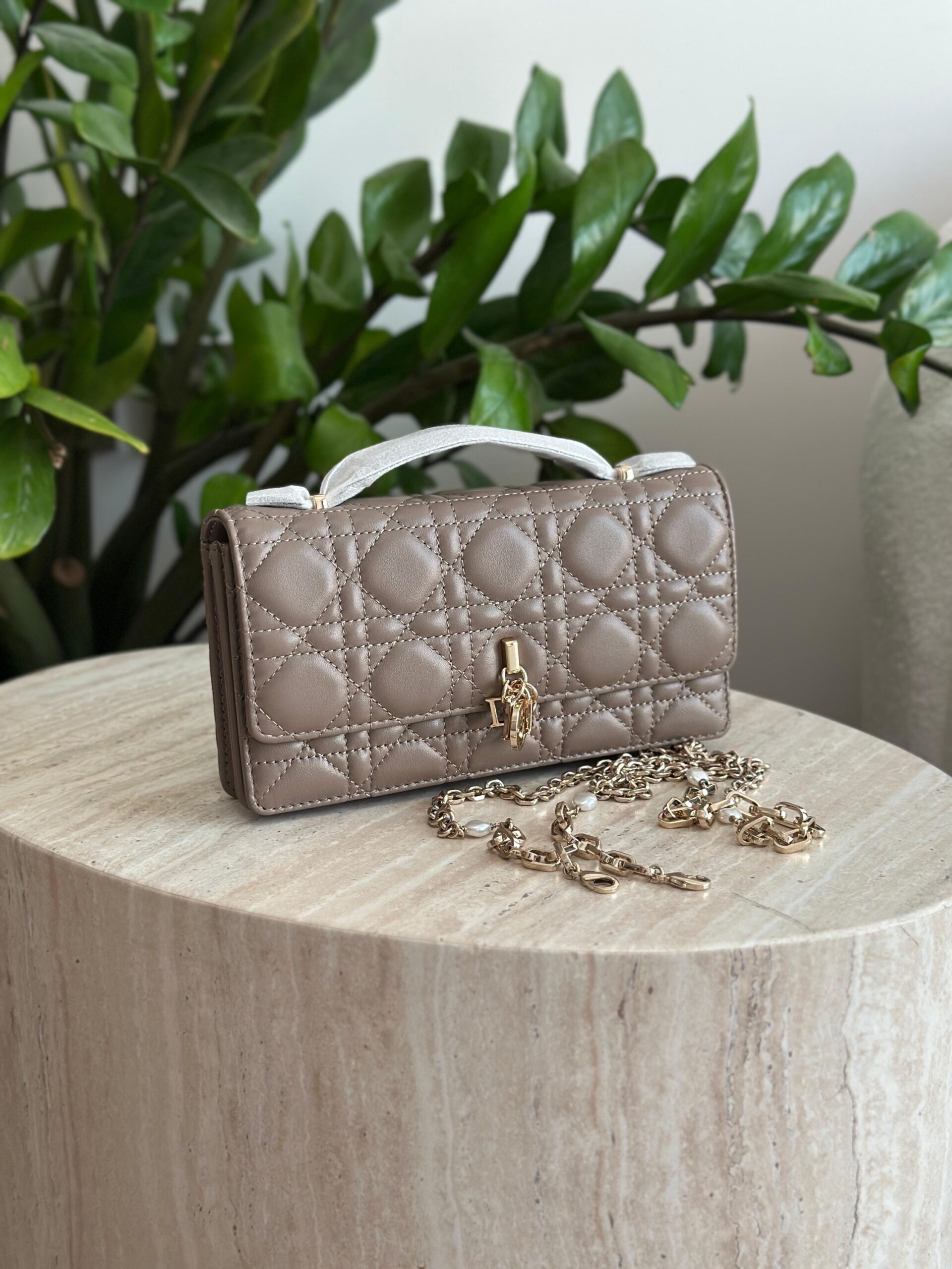Dior Mini Bag - Image 14