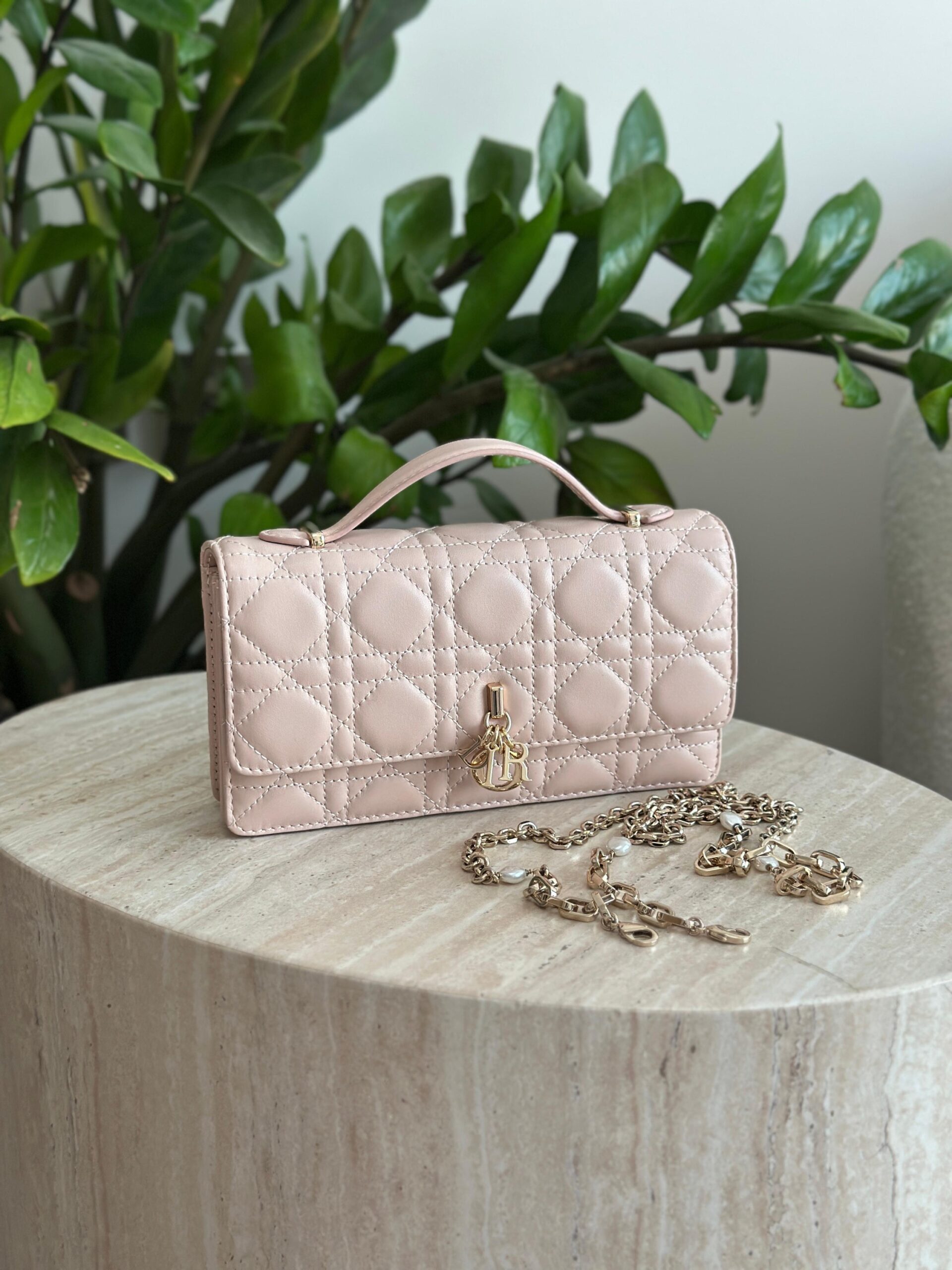 Dior Mini Bag - Image 4