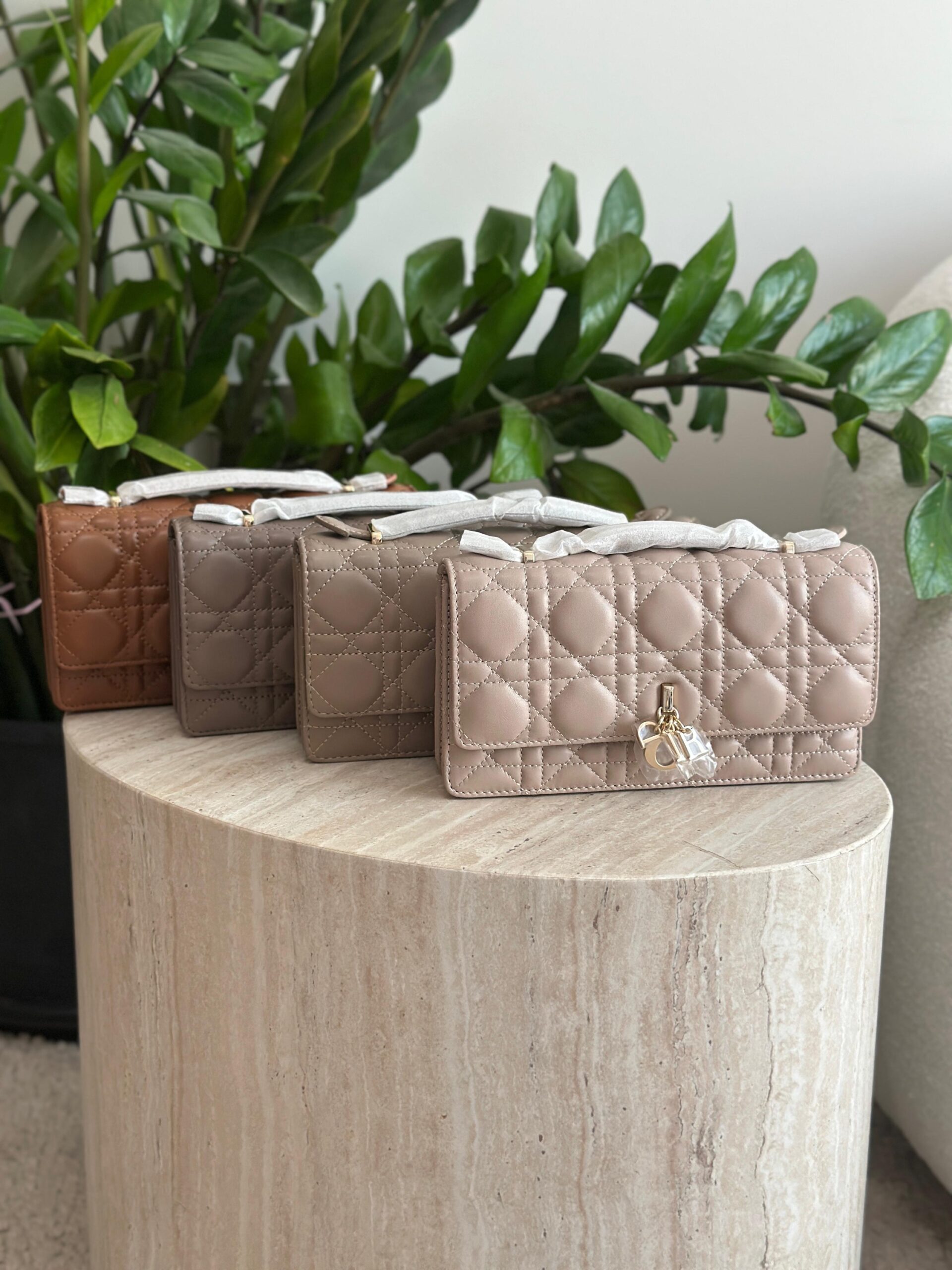 Dior Mini Bag - Image 25