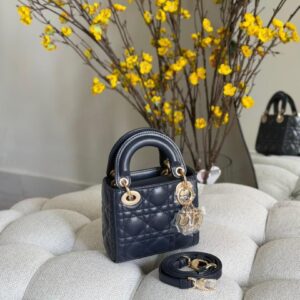 Mini Lady Dior Bag